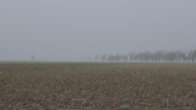 News BCM - 6/12/2004 - Rain soaked paddock on Warrego Highway east of Dalby.