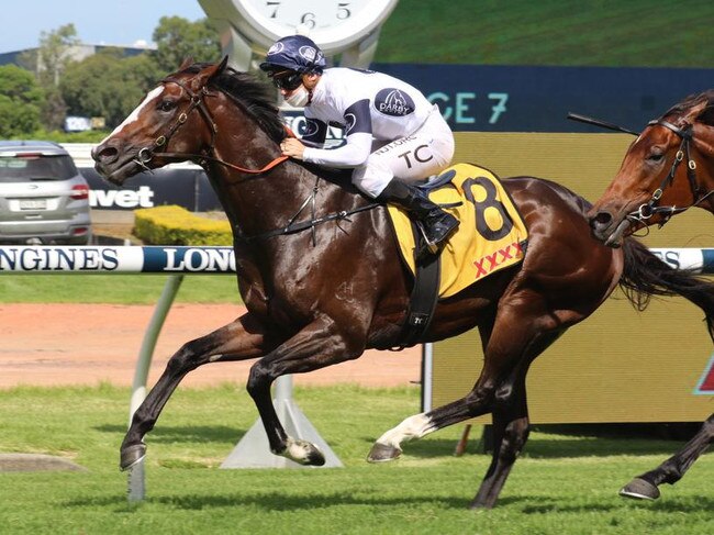 Overpass is set to lead his rivals with catch me if you can tactics in Saturday's The TAB Everest at Randwick. Picture: Grant Guy