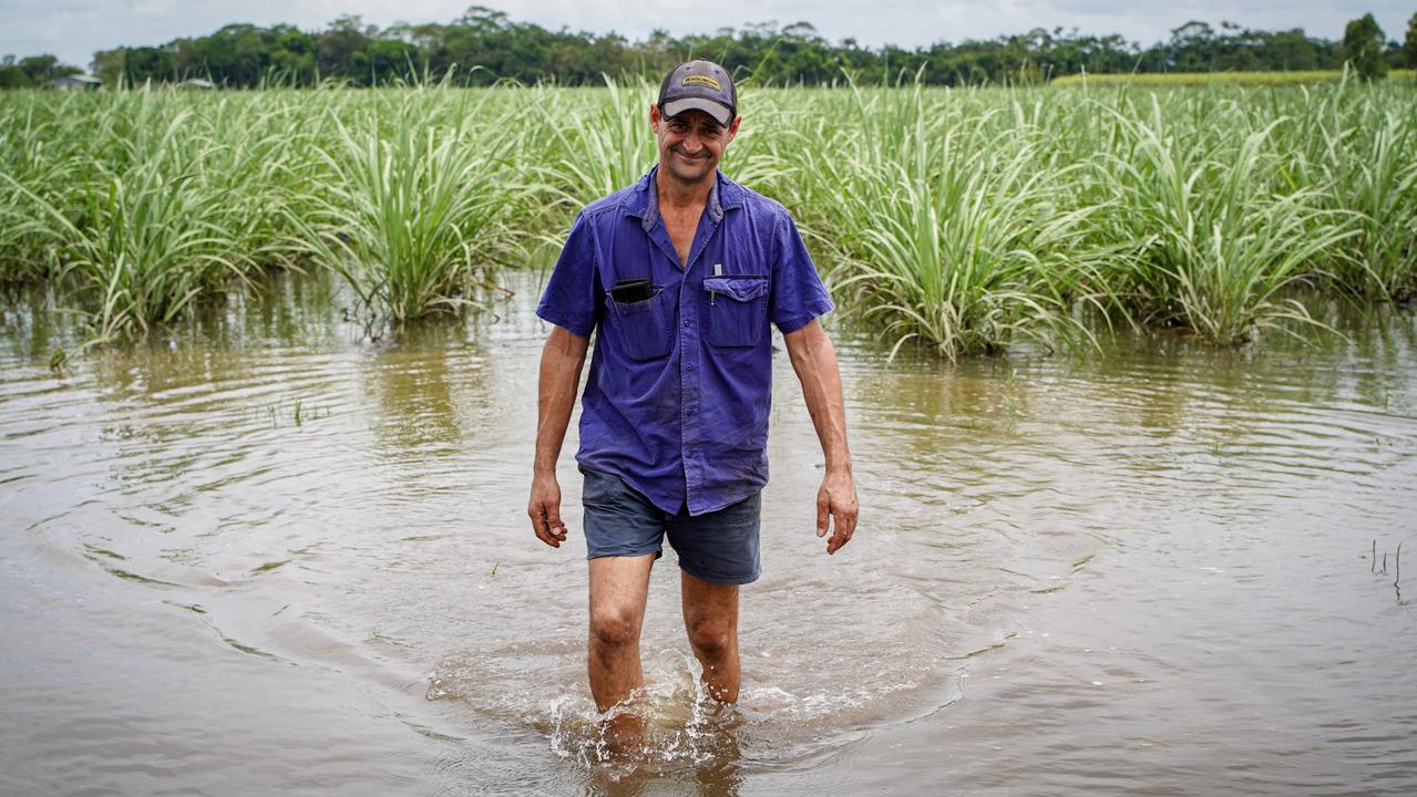 Erakala sugar cane farmer Andre Camilleri says their fields have been swamped by heavy rainfall and are at risk of being left to standover. Picture: Heidi Petith