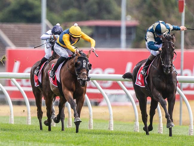 Strawberry Rock ridden by Declan Bates in Yellow coming towards the finish line at the 2025 Hobart Cup.Picture: Linda Higginson