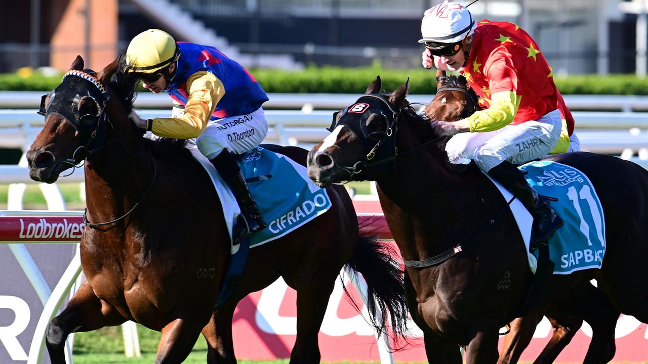 Supplied Editorial Cifrado and Damien Thornton survive a protest hearing to win the $1m
  Sires' Produce at Eagle Farm. Picture: Grant Peters - Trackside Photography