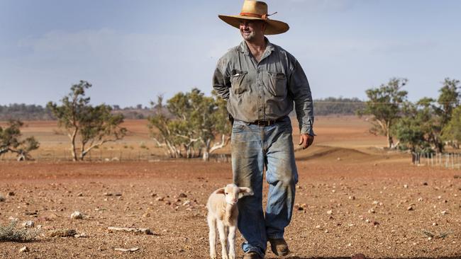 Western Queensland Grazier Will Roberts walks a paddock with one of his poddy lambs on his property east of Charleville. Mr Roberts takes a positive and proactive approach to surviving the drought, cutting his stock back to a high quality core as well as making sure his 80,000 acre property is prepared to make the most of every drop of rain that comes. Photo: Lachie Millard