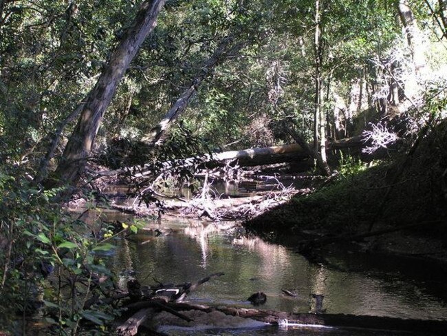 Wyong River is just 7mm from ceasing to flow altogether at Yarramalong. Picture: DPI Office of Water