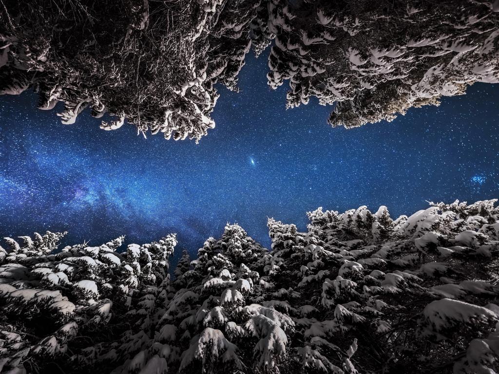 ‘Galaxies above the winter forest’ ... Galaxies above the forests of Pokljuka. Trees are illuminated by the nearby car on the road. For this image, I simply put the camera directly in the middle of the road at Pokljuka Plateau in Slovenia. Picture: Ales Krivec, Slovakia, Entry, Open, Landscape and Nature (2018 Open competition), 2018 Sony World Photography Awards