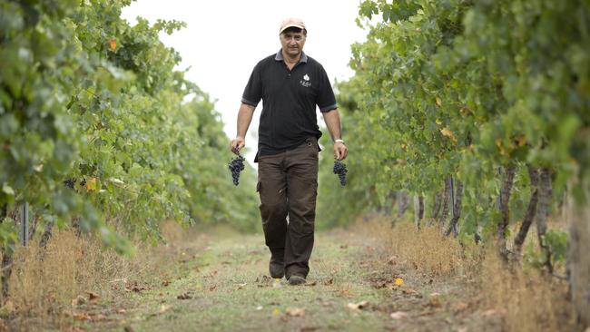 Peos Estate owner Vic Peos says a good pinot is the ‘perfect wine to have with a lovely meal’.