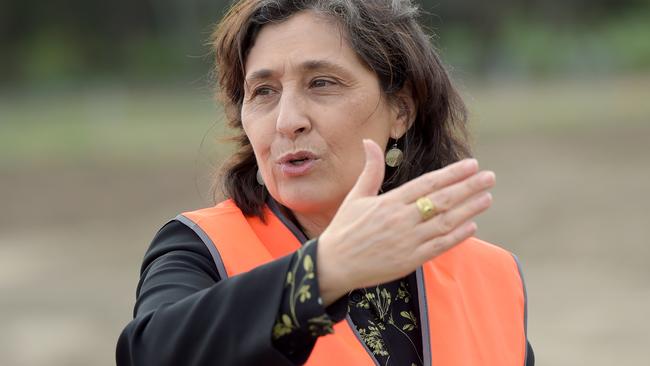 Solar Homes Minister Lily D’Ambrosio said the rebate scheme was designed in consultation with industry. Picture: File