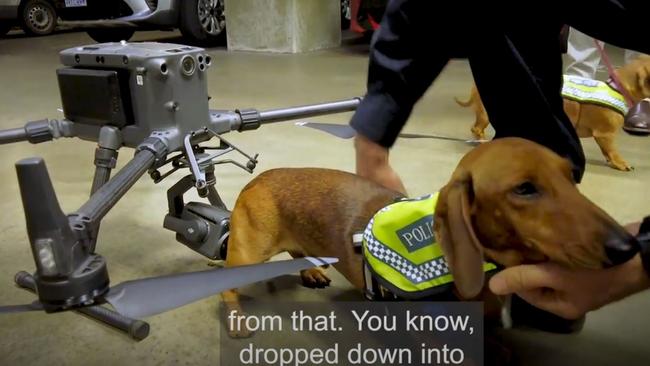 SA Police’s small dogs can be attached to drones for special operations.