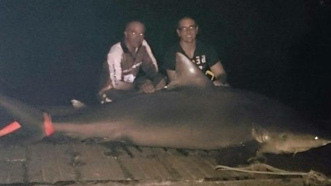 A bull shark caught in the Hastings River near Port Macquarie in an area popular with summer school holidaymakers. Recreational fishing site Yep, I'm On Fishing revealed angler Chris Micallef and his father reeled in the shark after a two-hour struggle. Picture: Yep, I'm On Fishing