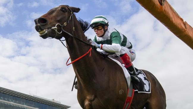 Future History, ridden by Craig Williams, books his place in this year’s Melbourne Cup with victory in the Lexus Bart Cummings at Flemington on October 7. Picture: Vince Caligiuri / Getty Images