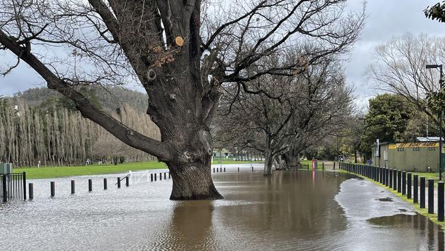 Flooding along New Norfolk's Esplanade. Picture: Genevieve Holding