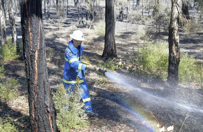 Community Fire Unit member Andrew Mayorga of the Corryton Court Community Fire Unit fights a spot fire at Wattle Grove today. Picture: AAP Image/Simon Bullard