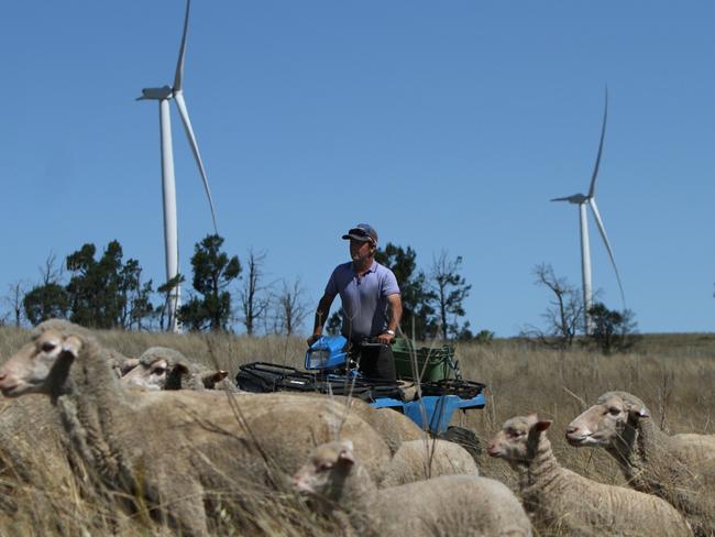 For The Weekly Times AgJournal November.  Differing opinions on the use of prime agricultural land for the purpose of energy farming.  Simon Barton has a property at Badangora near Wellington NSW, which has energy producing wind turbines installed for added income.   Simon rounding up sheep on a quad bike.  Picture by Dean Marzolla