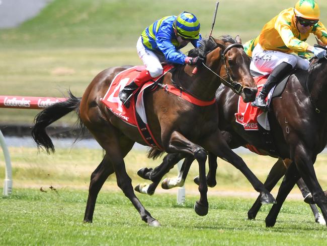 Flying Fizz can improve sharply off a fast-finishing Warrnambool effort when she heads to Flemington on Saturday. Picture: Racing Photos via Getty Images.