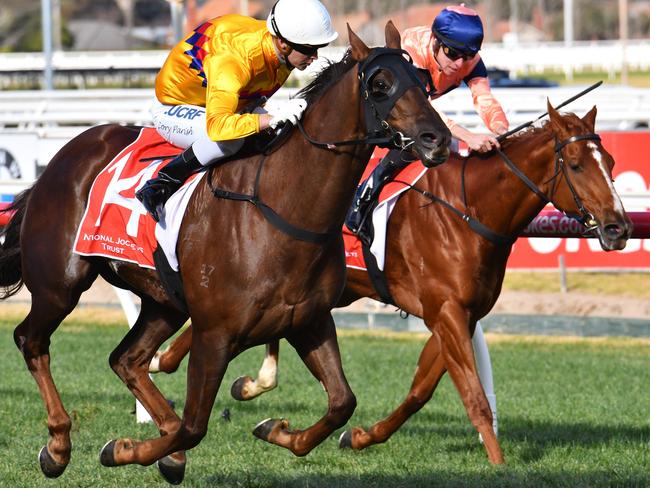 Portion Control gains ascendancy late at Caulfield Racecourse on July 15. Picture: Getty Images