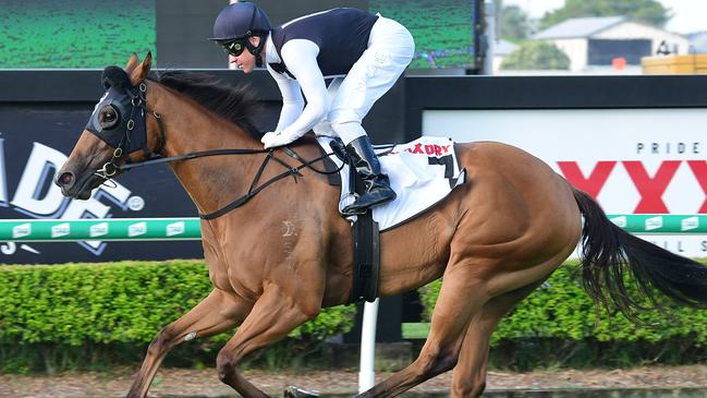 Our Playboy meets gun Queensland filly Isotope (above) this weekend. Picture: Grant Peters