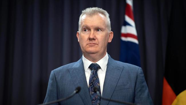 Home Affairs Minister Tony Burke. Picture: NCA NewsWire / Gary Ramage