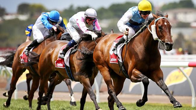 Ben Melham guides Bel Thor to victory in the Antler Luggage Handicap. Picture: Colleen Petch