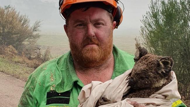 Logging contractor Brett Robin with a koala he saved, and nicknamed Coota, near Mallacoota. Supplied Brett Robin