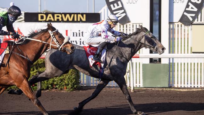 Jockey Matthew Palmer rides Ash Grey to victory in the $60,000 Chief Minister’s Cup (1600m) at Darwin Turf Club last year. Picture: Keri Megelus