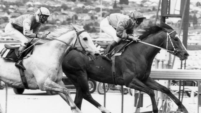 Family Of Man beats Raffindale to win the 1977 Cox Plate. Picture: Herald Sun Photography