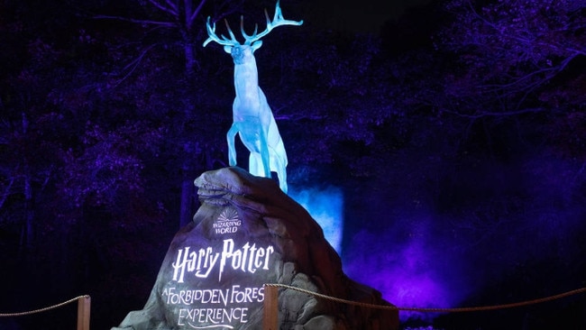 Harry Potter: A Forbidden Forest Experience light and interactive event is coming to The Briars at Mount Martha in April 2024. Picture: supplied