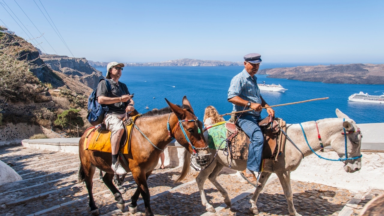 Ping pong shows in Thailand and riding donkeys in Petra: Our biggest travel  regrets