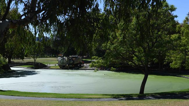 ... or from some angles, a putting green. Picture: Tricia Watkinson