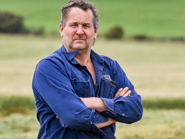 OCTOBER 3, 2024: Elden Oster is cutting frost damaged wheat to be used as stock feed near Ardrossan on Yorke Peninsula. Picture: Brenton Edwards