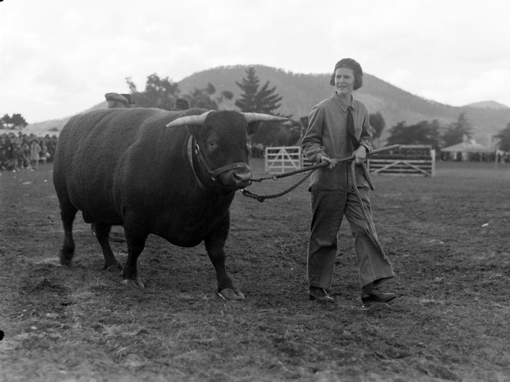 Mercury Archive historical file picture Royal Hobart Show.