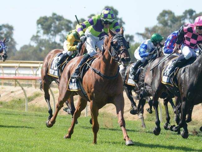 Orion The Hunter ridden by Neil Farley wins the Brew & Toastie 0-58 Handicap at Benalla Racecourse on March 23, 2024 in Benalla, Australia. (Photo by Ross Holburt/Racing Photos via Getty Images)