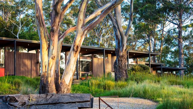 Mark and Keryn Fountain’s Tasmanian garden is featured in 'Visionary: Gardens and Landscapes for Our Future’. Picture: Claire Takacs