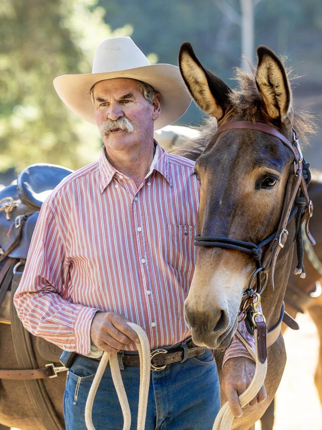 Noel Wiltshire and his mule named Mollie.