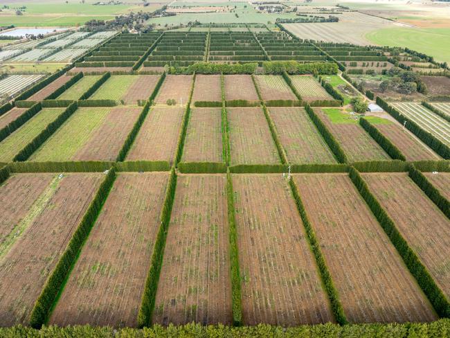 bunbartha orchards the weekly times