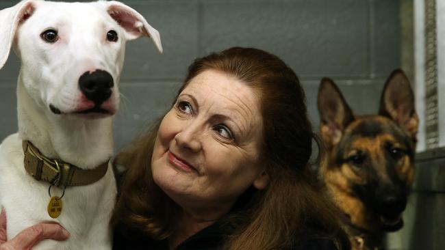 Save A Dog Scheme Sniffing Out Cash To Help Deliver Worthy Animal Shelter Herald Sun