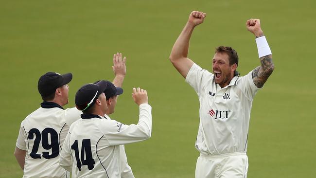 Pattinson celebrates the wicket of NSW veteran Peter Nevill. Picture: Getty