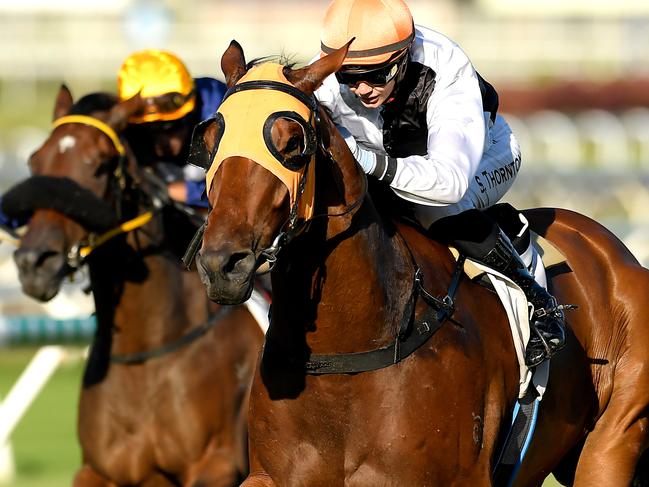 Jockey Stephanie Thornton rides Star Of Michelin to victory in race 7, the QTIS 3YO Handicap, during Saturday Raceday at Eagle Farm Racecourse in Brisbane, Saturday, March 21, 2020. (AAP Image/Albert Perez) NO ARCHIVING, EDITORIAL USE ONLY