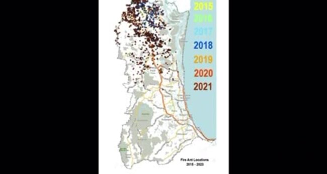 Fire ants on the Gold Coast