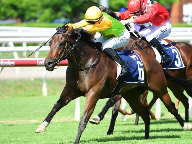 All That Pizzazz storms home to win the Listed Bribie Handicap at Eagle Farm under Ben Thompson. Picture: Natasha Wood - Trackside Photography