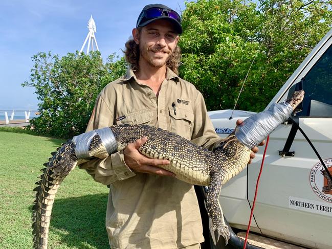 Croc caught near casino, another spotted at the beach