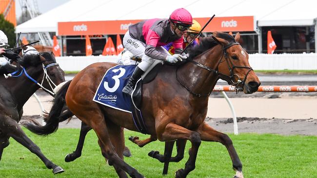 Sirileo Miss can improve on a firmer surface. Picture: Racing Photos via Getty Images