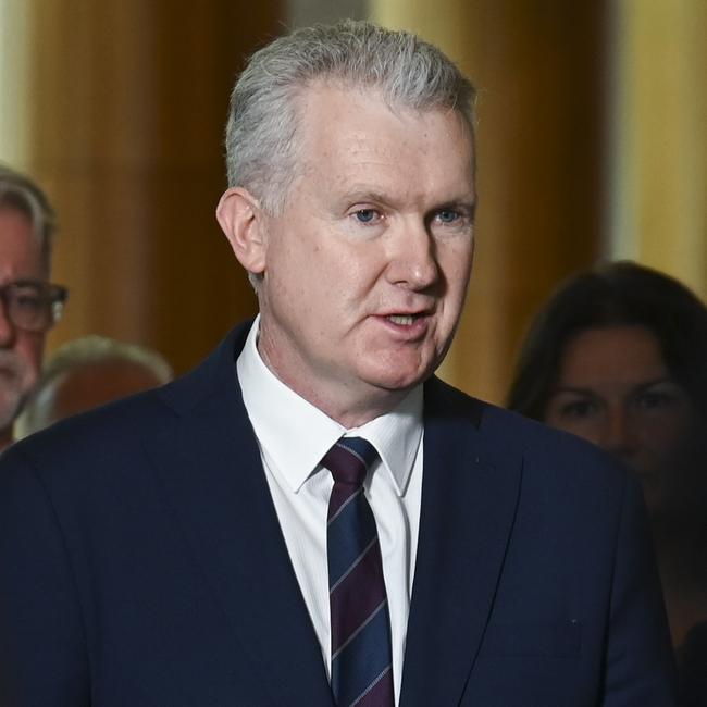 Industrial Relations Minister Tony Burke. Picture: NCA NewsWire/Martin Ollman