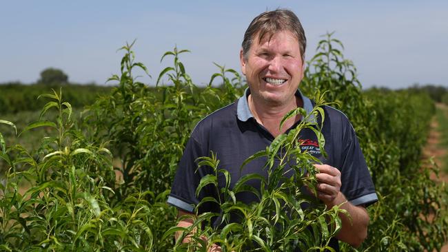 Irrigator Michael Trautwein on his property near Renmark. Picture: Naomi Jellicoe