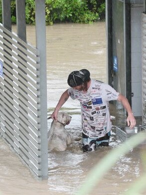 Kevin Ross wades into the floodwaters to rescue the dog. Picture: Robyne Cuerel