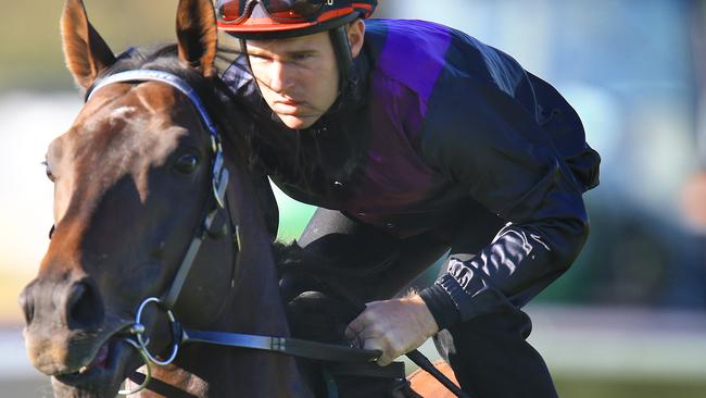 Fiorente ridden by Tommy Berry. Picture: Mark Evans