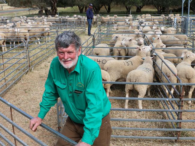 Pepperton Poll Dorsets and White Suffolks stud principal Roger Trewick, from Elmore. Picture: Supplied by Kim Woods