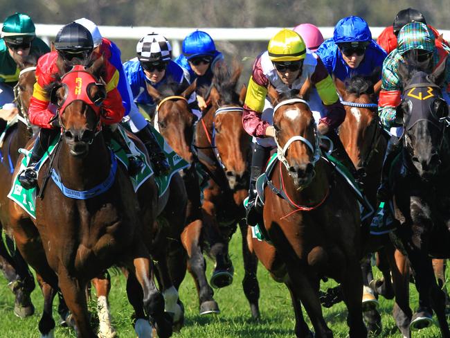 Loving home ridden by Tye Angland  (yellow cap, maroon with yellow armbands) wins race 1 during Scone  Races located in the Upper Hunter Region of NSW. The Bend . Pic Jenny Evans