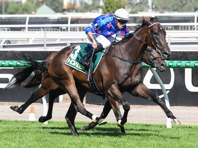 Feroce (NZ) ridden by Billy Egan wins the Howden Australian Guineas at Flemington Racecourse on March 01, 2025 in Flemington, Australia. (Photo by Brett Holburt/Racing Photos via Getty Images)