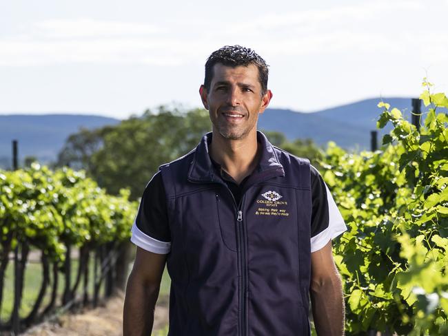 QBM ONLY - Golden Grove Estate's Ray Costanzo  his vineyard at Ballandean. Pic Mark Cranitch.