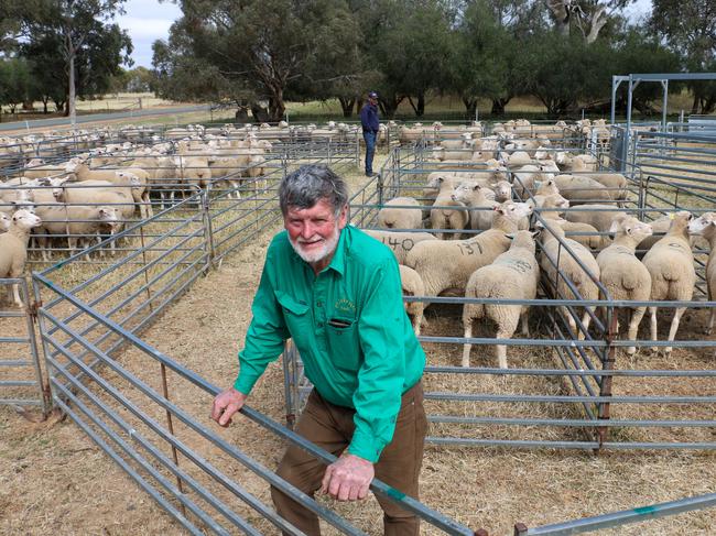 Pepperton Poll Dorsets and White Suffolks stud principal Roger Trewick, from Elmore. Picture: Supplied by Kim Woods