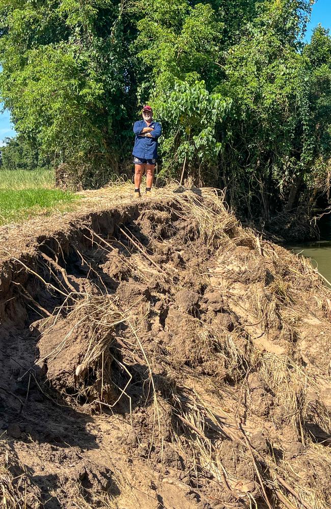 QCAR Herbert District Committee member Walter Giordani at a flood-damaged sugarcane farm at Yuruga, south of Ingham.